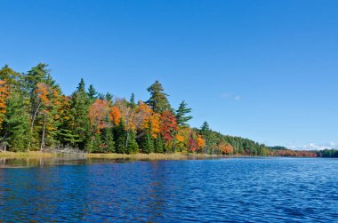 Killarney Park, Kanada 'da Orman Gölü' nün üzerinde gün doğumu