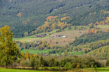 Sonbahar zamanı dağın manzarası. Norveç.