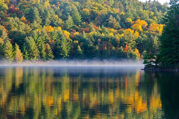 Sonnenaufgang Über Dem Waldsee Killarney Park Kanada — Stockfoto