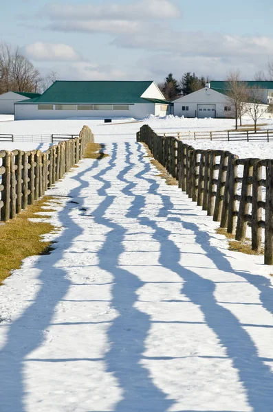 Farm Fence Lines Shadows Winter Time — Stock Photo, Image