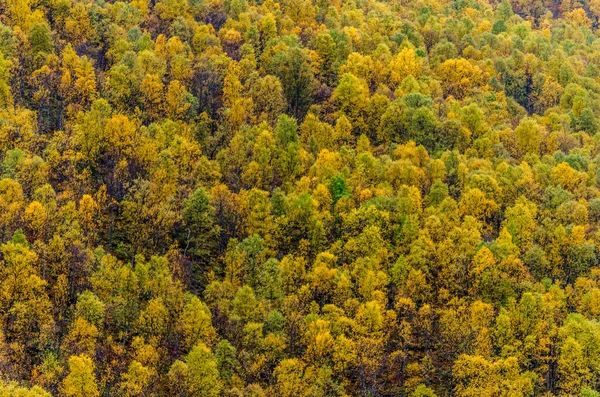 Berg Och Högland Norge Hösten — Stockfoto