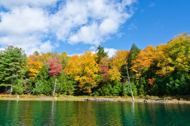 Killarney Park, Kanada 'da Orman Gölü' nün üzerinde gün doğumu