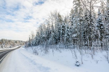 Güneşli bir günde kar altında ve kayak pisti