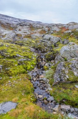 Norveç 'te sonbahar zamanı dağ ve dağlık arazi