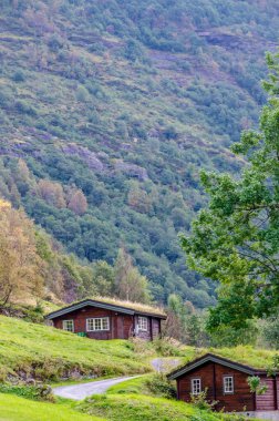 Newfoundland nehri yaz mevsiminde kırsal alanda