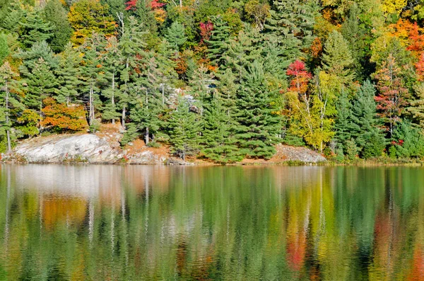 Salida Del Sol Sobre Lago Del Bosque Parque Killarney Canadá — Foto de Stock