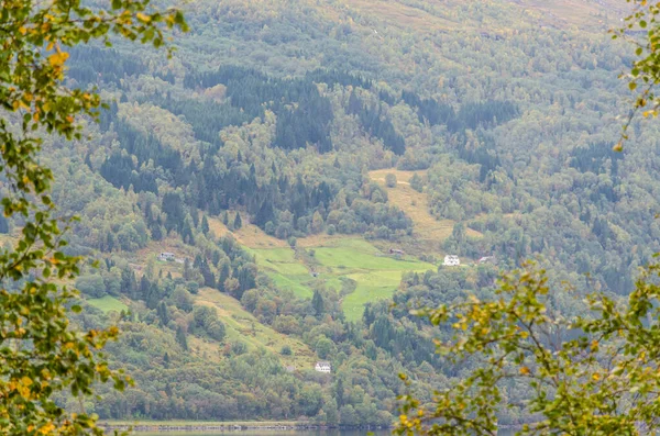 Riflessione Norvegia Fiordo Autunno — Foto Stock