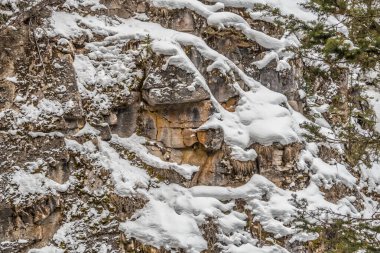 Banff Park, Alberta, Kanada 'daki Johnston Şelalesine giden yol