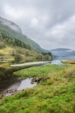 Dağ nehrinin manzarası. Norveç.