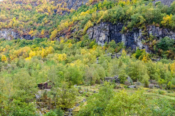 Bergen Hooglanden Noorwegen Herfst — Stockfoto