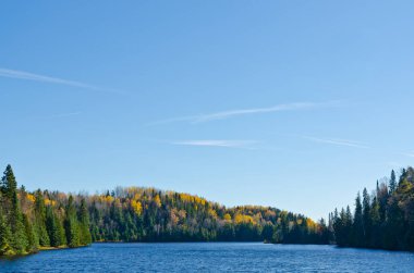 Orman Gölü Sonbahar Zamanı, Ontario, Kanada