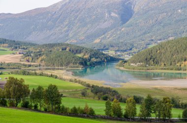 Dağ nehrinin manzarası. Norveç.