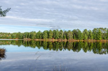 Sonbahar mevsiminde Algonquin Park 'ta göl