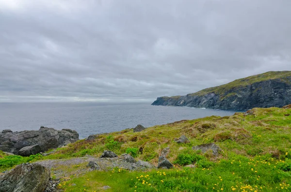 Côte Terre Neuve Été — Photo