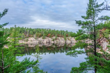 Killarney Park 'taki Orman Gölü Sonbahar mevsimi boyunca
