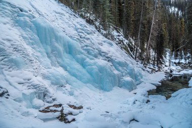 Banff Park, Alberta, Kanada 'daki Johnston Şelalesine giden yol