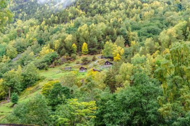 Norveç 'te sonbahar zamanı dağ ve dağlık arazi