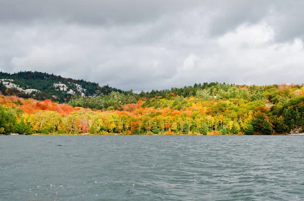 カナダの晴れた秋の日に森の湖 — ストック写真