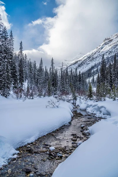 Lago Louise Banff Park Invierno Alberta Canadá — Foto de Stock