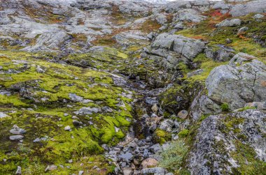 Norveç 'te sonbahar zamanı dağ ve dağlık arazi