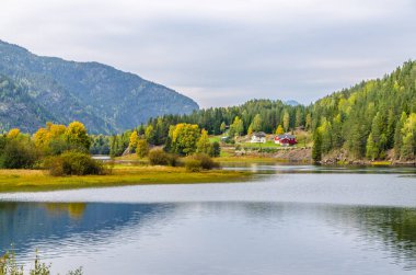 Dağ nehrinin manzarası. Norveç.