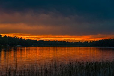 Grundy Lake Park, Kanada 'da orman gölü üzerinde gün batımı