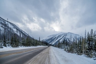 Kootenay Park 'taki Rocky Dağları, British Columbia, Kanada