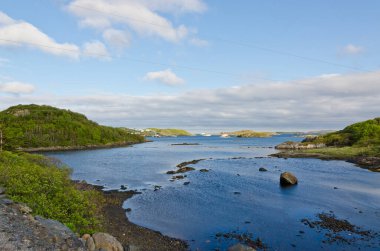 Yazın Newfoundland Sahili