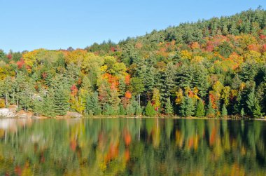 Killarney Park, Kanada 'da Orman Gölü' nün üzerinde gün doğumu