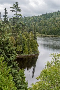 Sonbaharda Superior Gölü İl Parkı 'ndaki Orman Gölü.