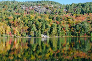 Killarney Park, Kanada 'da Orman Gölü' nün üzerinde gün doğumu