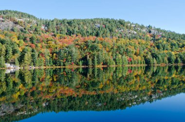 Killarney Park, Kanada 'da Orman Gölü' nün üzerinde gün doğumu