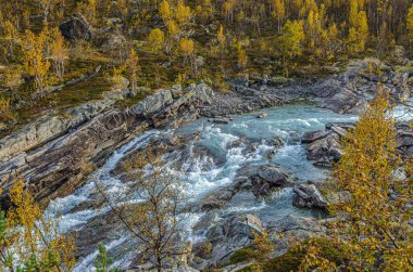Dağ nehrinin manzarası. Norveç.