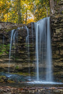 Sonbahar günü Hilton Falls Parkı 'nda şelale