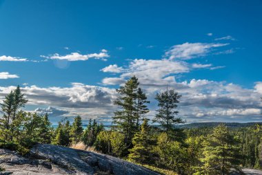 Ontario, Pukaskwa Ulusal Parkı 'ndaki ormanlık alanda. Kanada.