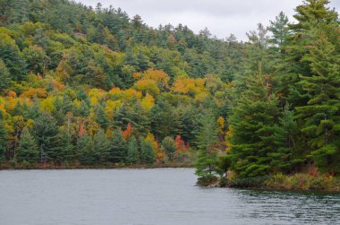 Kanada 'da güneşli bir sonbahar gününde Orman Gölü