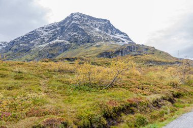Norveç 'te sonbahar zamanı dağ ve dağlık arazi
