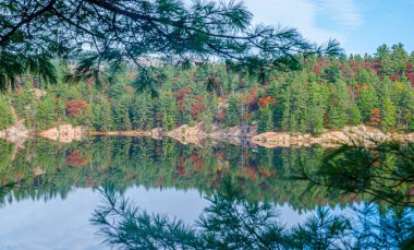 Killarney Park 'taki Orman Gölü Sonbahar mevsimi boyunca