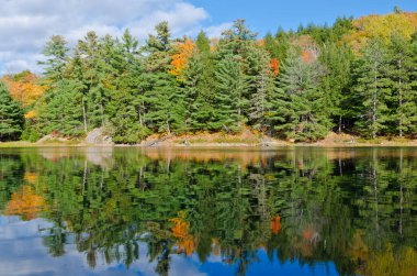 Killarney Park, Kanada 'da Orman Gölü' nün üzerinde gün doğumu