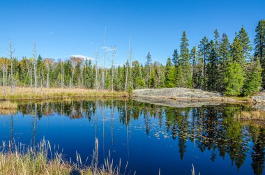 Sonbahar mevsiminde Algonquin Park 'ta göl