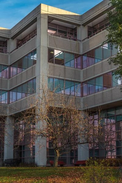 Edificio Negocios Otoño Markham Canadá —  Fotos de Stock