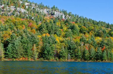 Killarney Park, Kanada 'da Orman Gölü' nün üzerinde gün doğumu