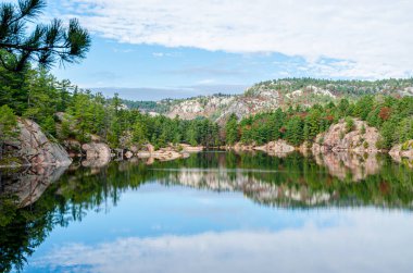 Killarney Park 'taki Orman Gölü Sonbahar mevsimi boyunca