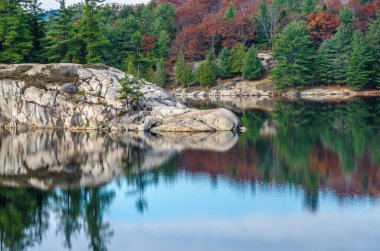 Killarney Park 'taki Orman Gölü Sonbahar mevsimi boyunca