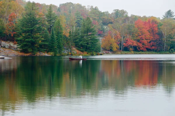 Floresta Lago Dia Ensolarado Aurumn Canadá — Fotografia de Stock