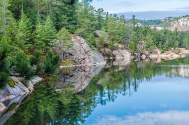 Killarney Park 'taki Orman Gölü Sonbahar mevsimi boyunca