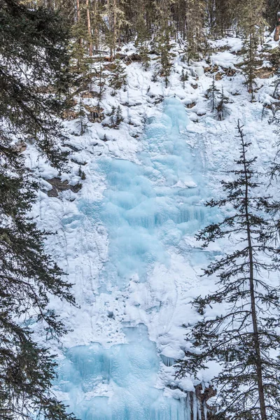 Chemin Menant Cascade Johnston Dans Parc Banff Alberta Canada — Photo