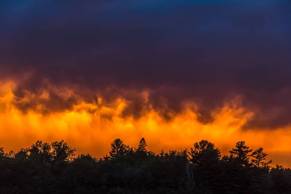 Sonnenuntergang Über Dem Waldsee Grundy Lake Park Kanada — Stockfoto