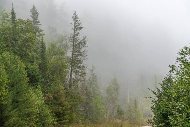 Superior Gölü, Kanada yakınlarındaki orman tepelerinde yoğun sis var.