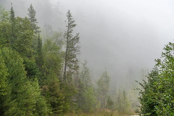 Starker Nebel Auf Waldhügeln Der Nähe Des Superior Lake Kanada — Stockfoto